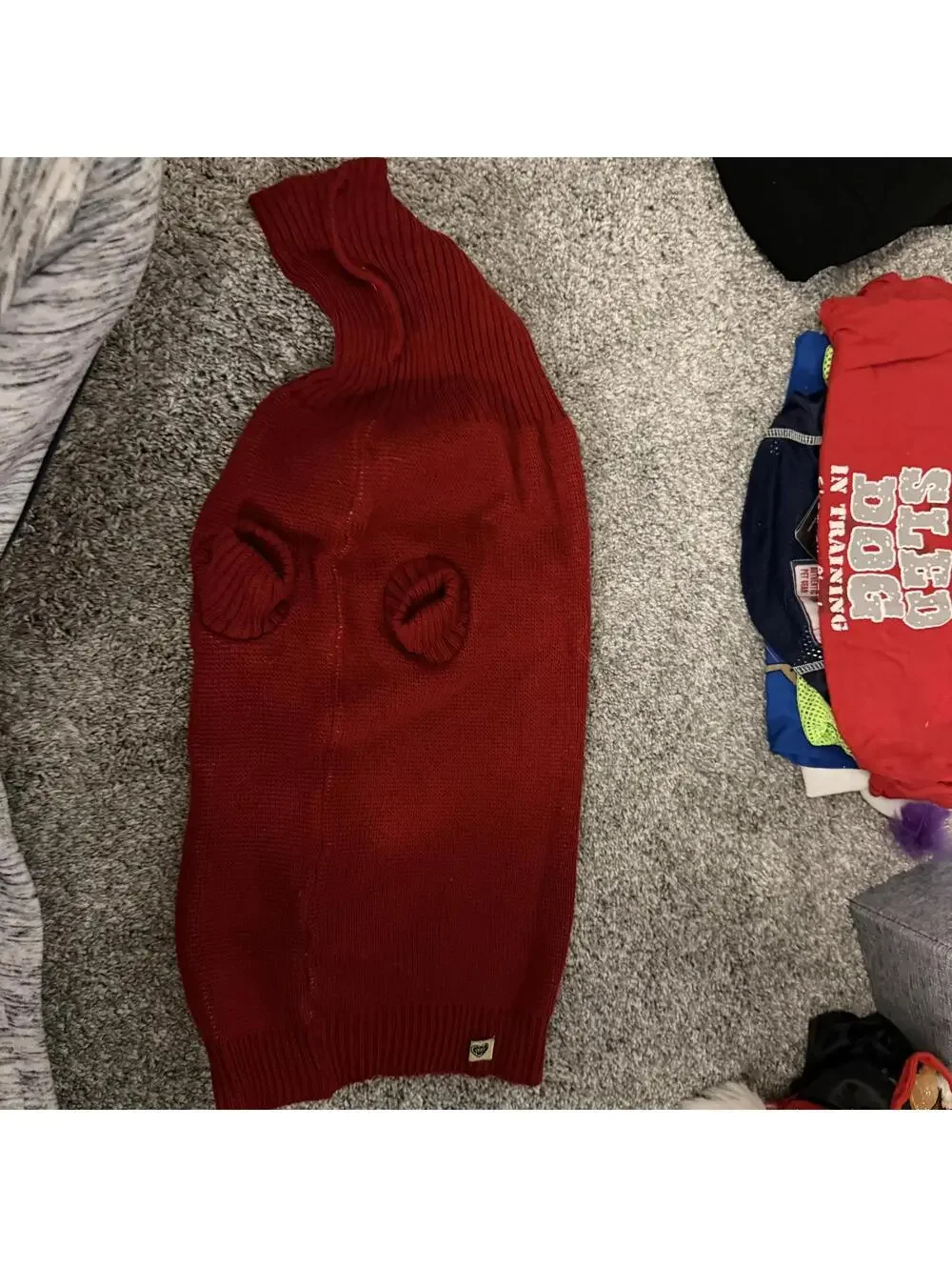 Companion Road X-Large Red Argyle Pet Sweater